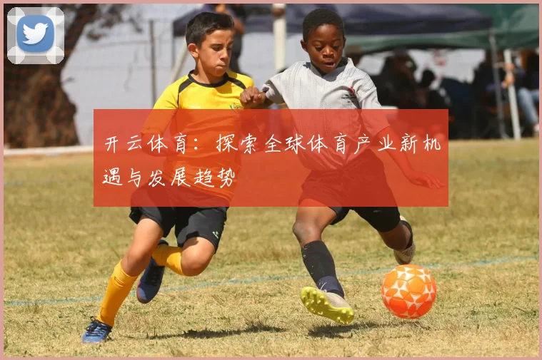 开云体育：探索全球体育产业新机遇与发展趋势