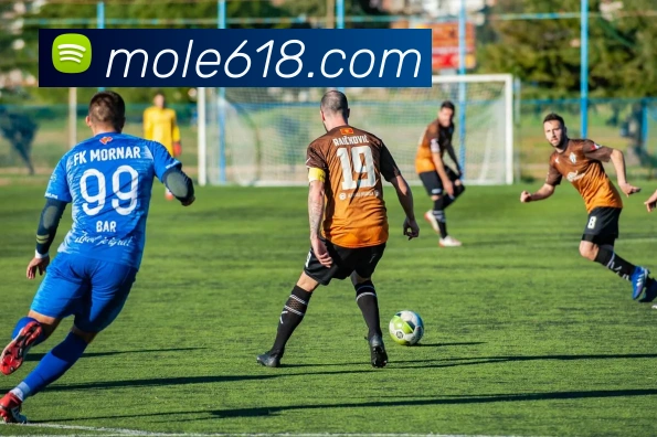 开云app服务体系